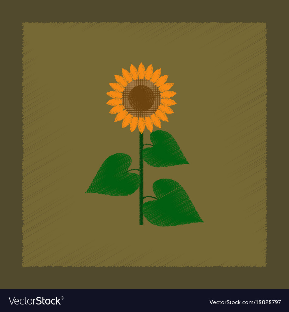 bright sunflower icon flat style