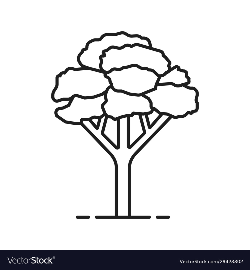 Maple tree linear icon