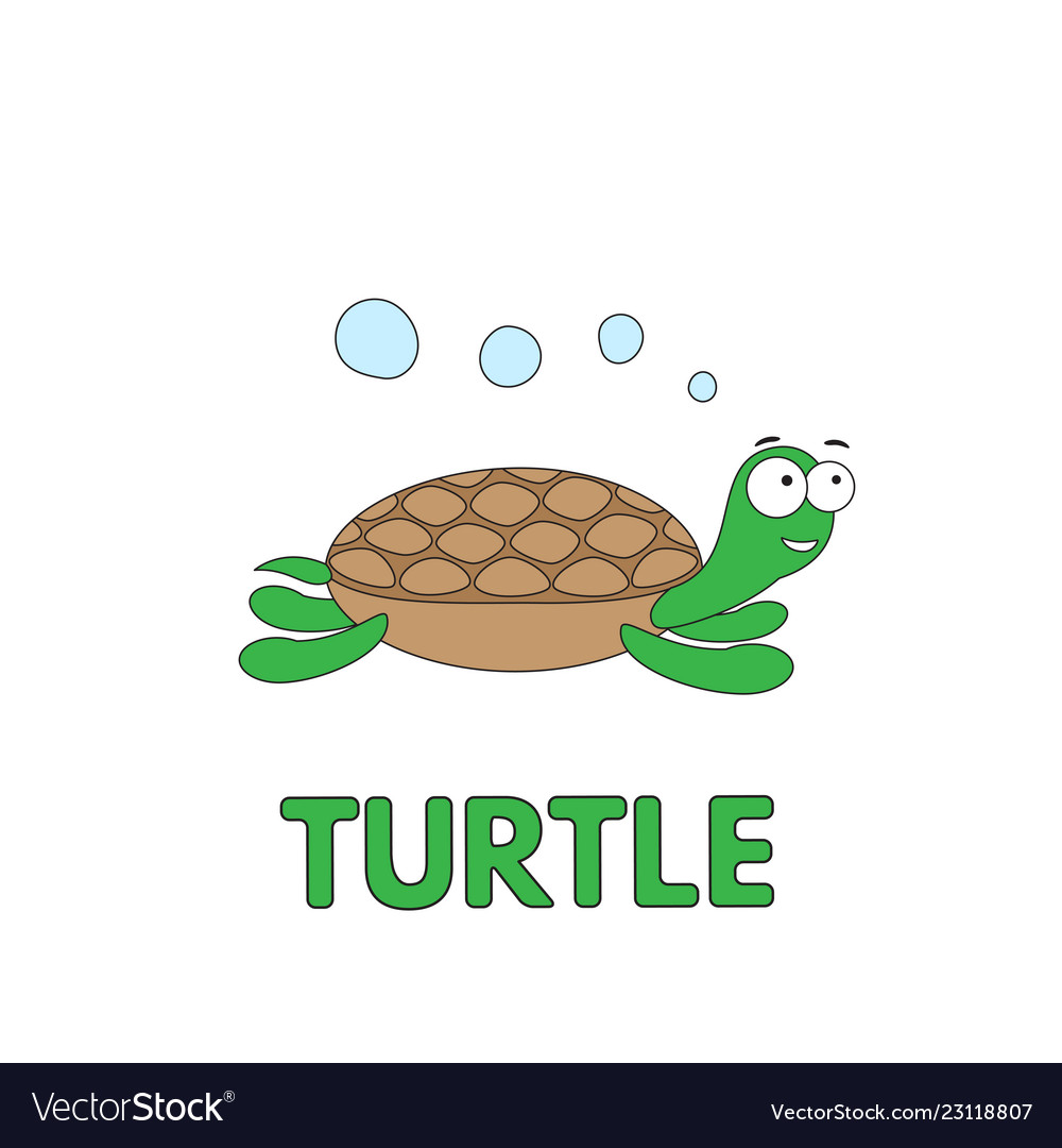 Cartoon turtle flashcard for children Royalty Free Vector