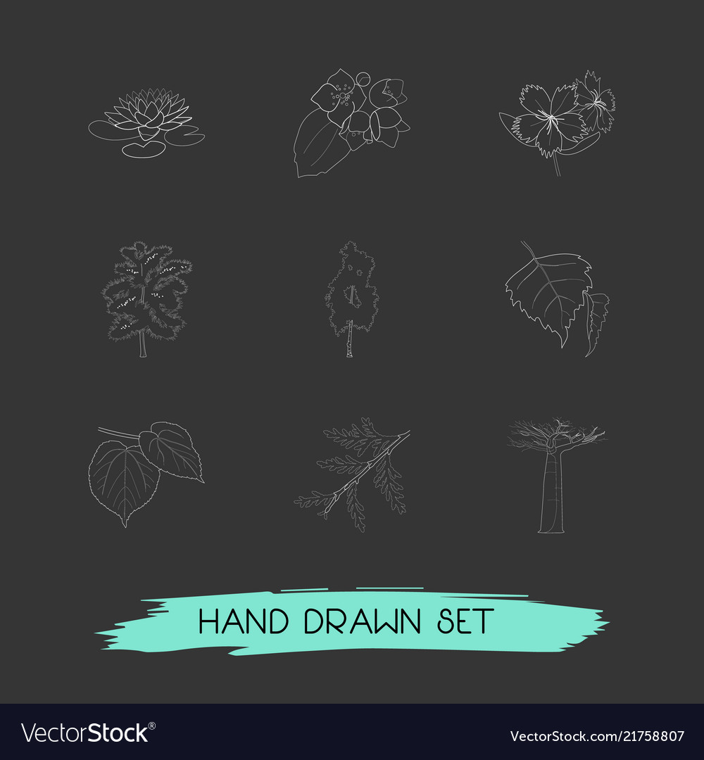 Set botany icons line style symbols Royalty Free Vector