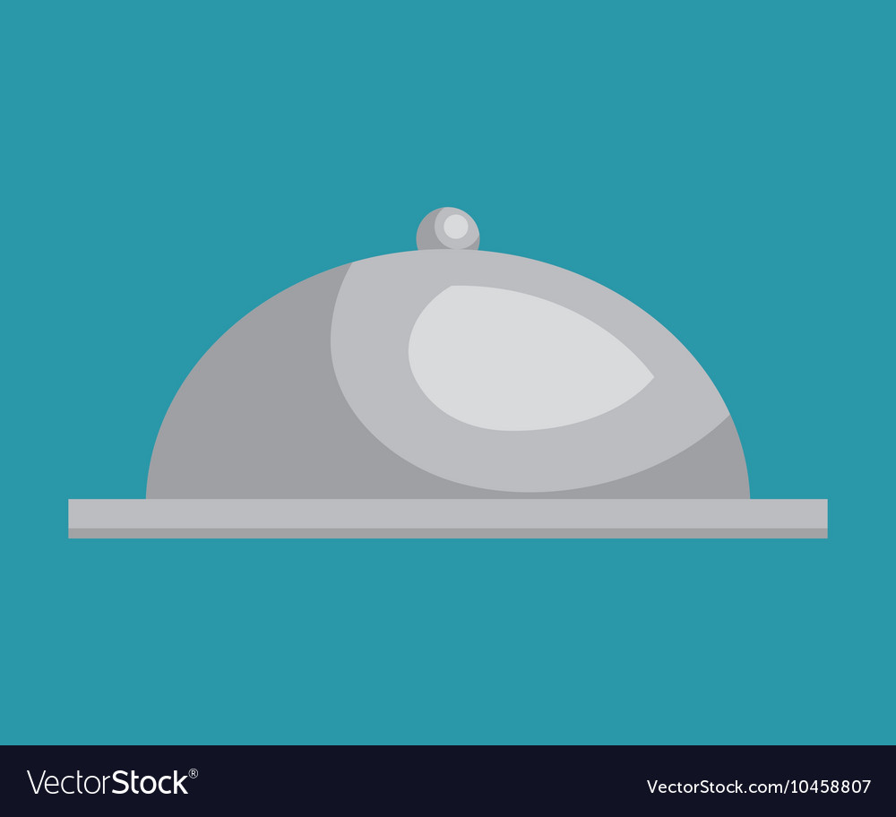 Tray dish server silver icon