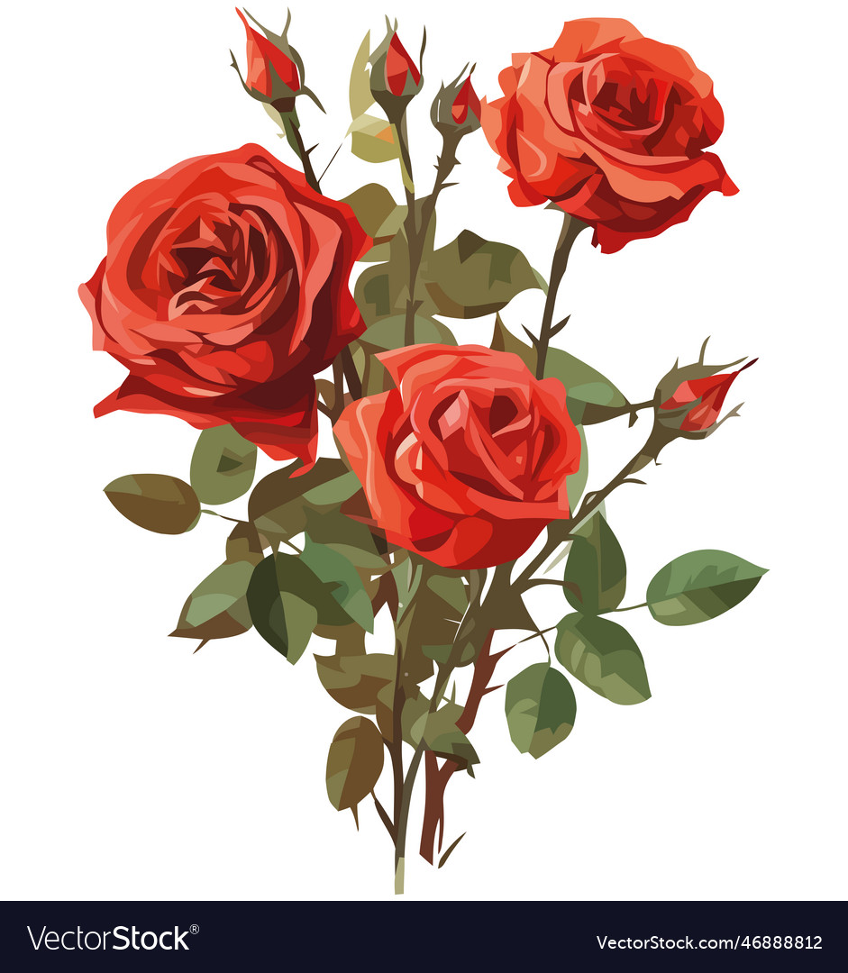 Bouquet of roses Royalty Free Vector Image - VectorStock