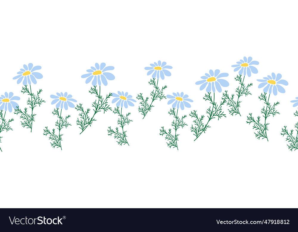 Chamomile horizontal border seamless pattern