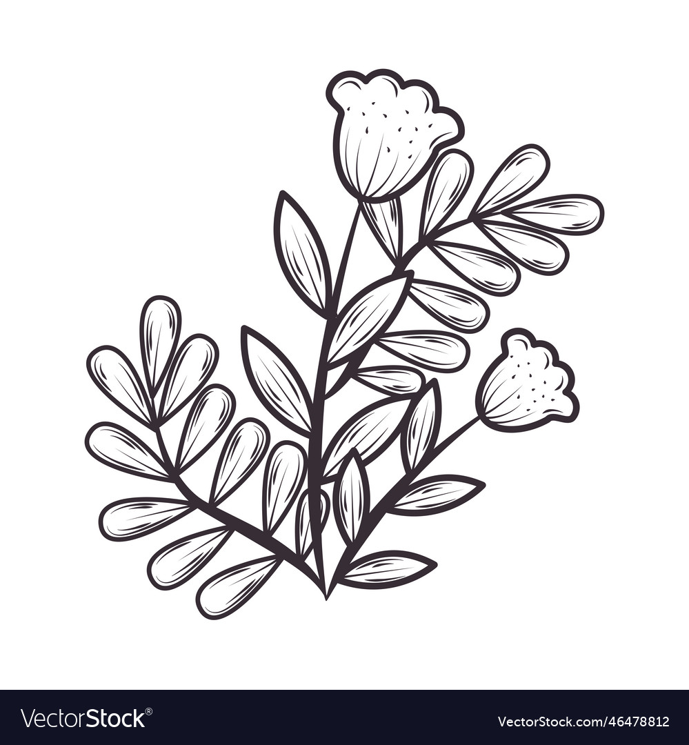 Leaves and flowers nature and botanical Royalty Free Vector