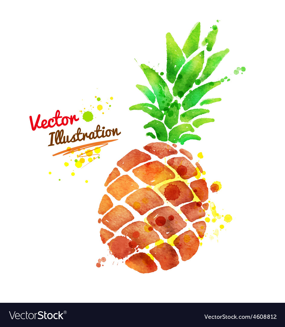 Download Watercolor pineapple Royalty Free Vector Image