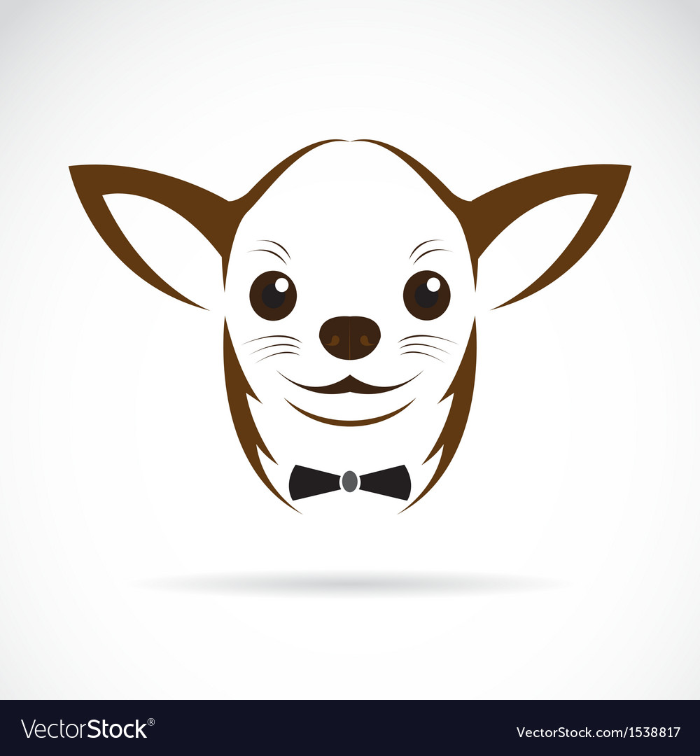 Chihuahua Royalty Free Vector Image - VectorStock