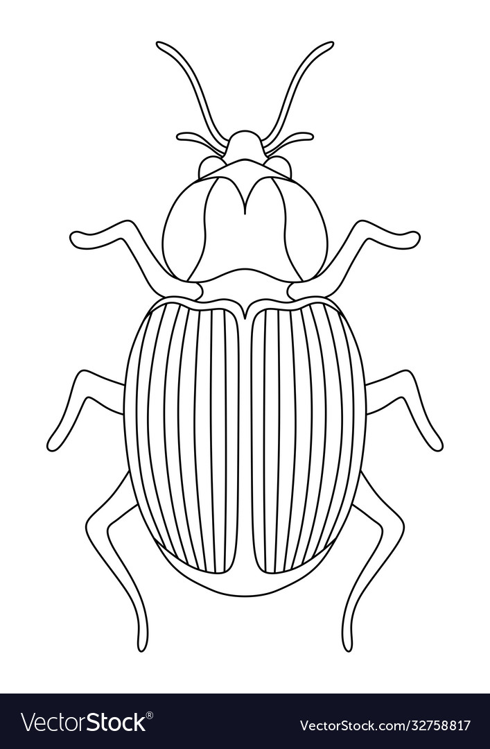 Children coloring book with a beetle