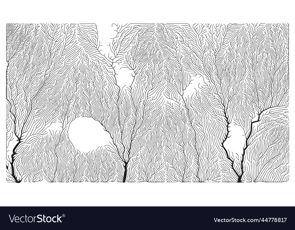 Growth pattern generative branching structure
