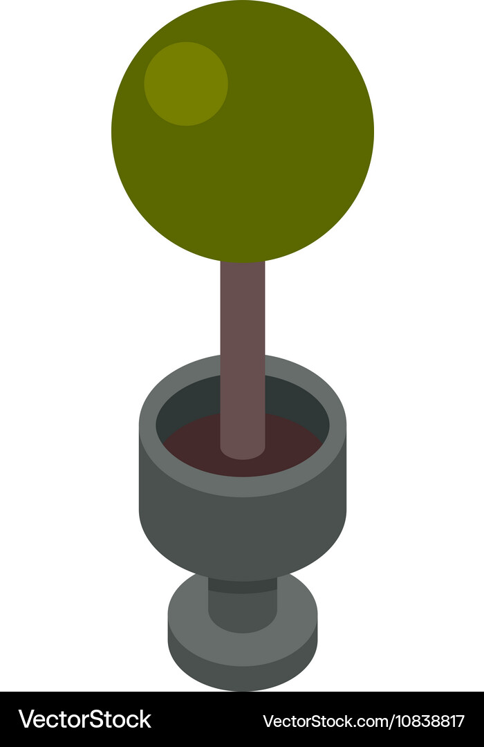 Isometric tree Royalty Free Vector Image - VectorStock