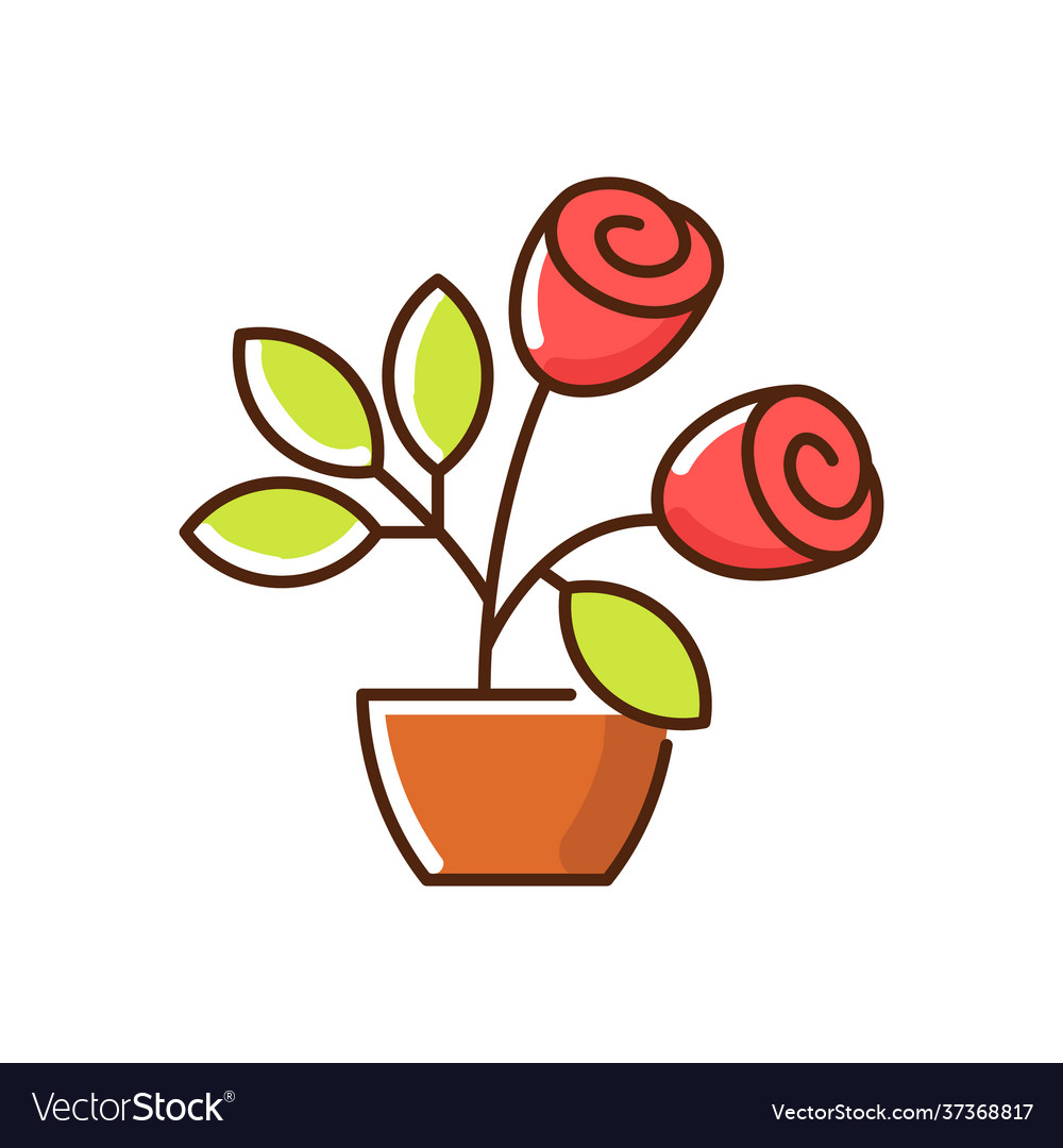 Rose bushes rgb color icon vector image Rose bushes rgb color icon