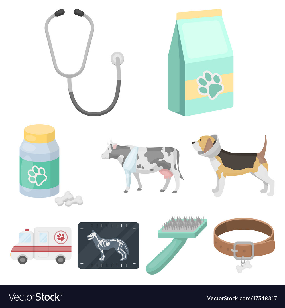 Vet clinic treatment of sick animals hospital Vector Image Vet clinic treatment of sick animals hospital Vector Image