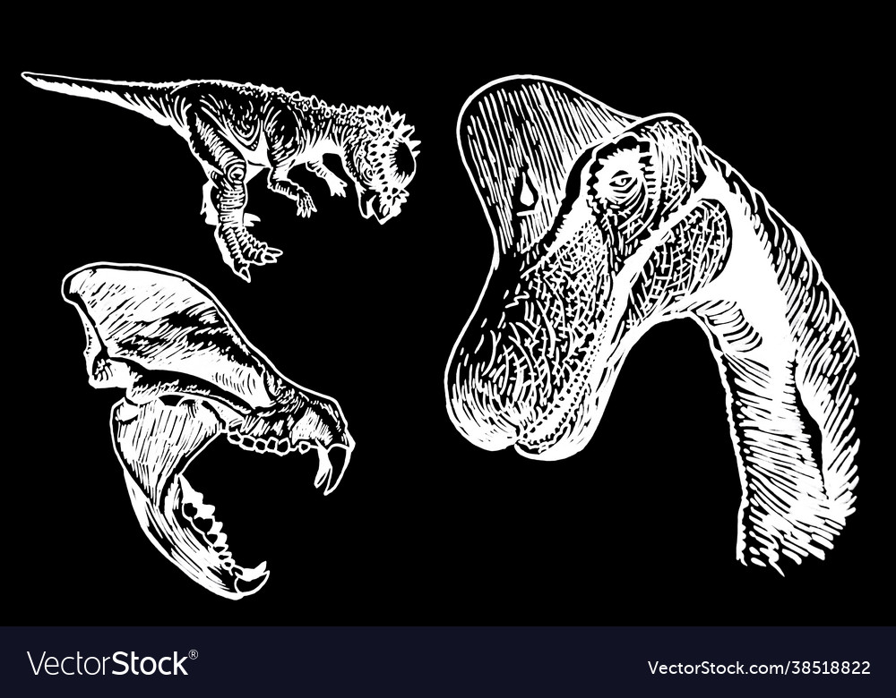 Graphical paleontological collection hand-drawn