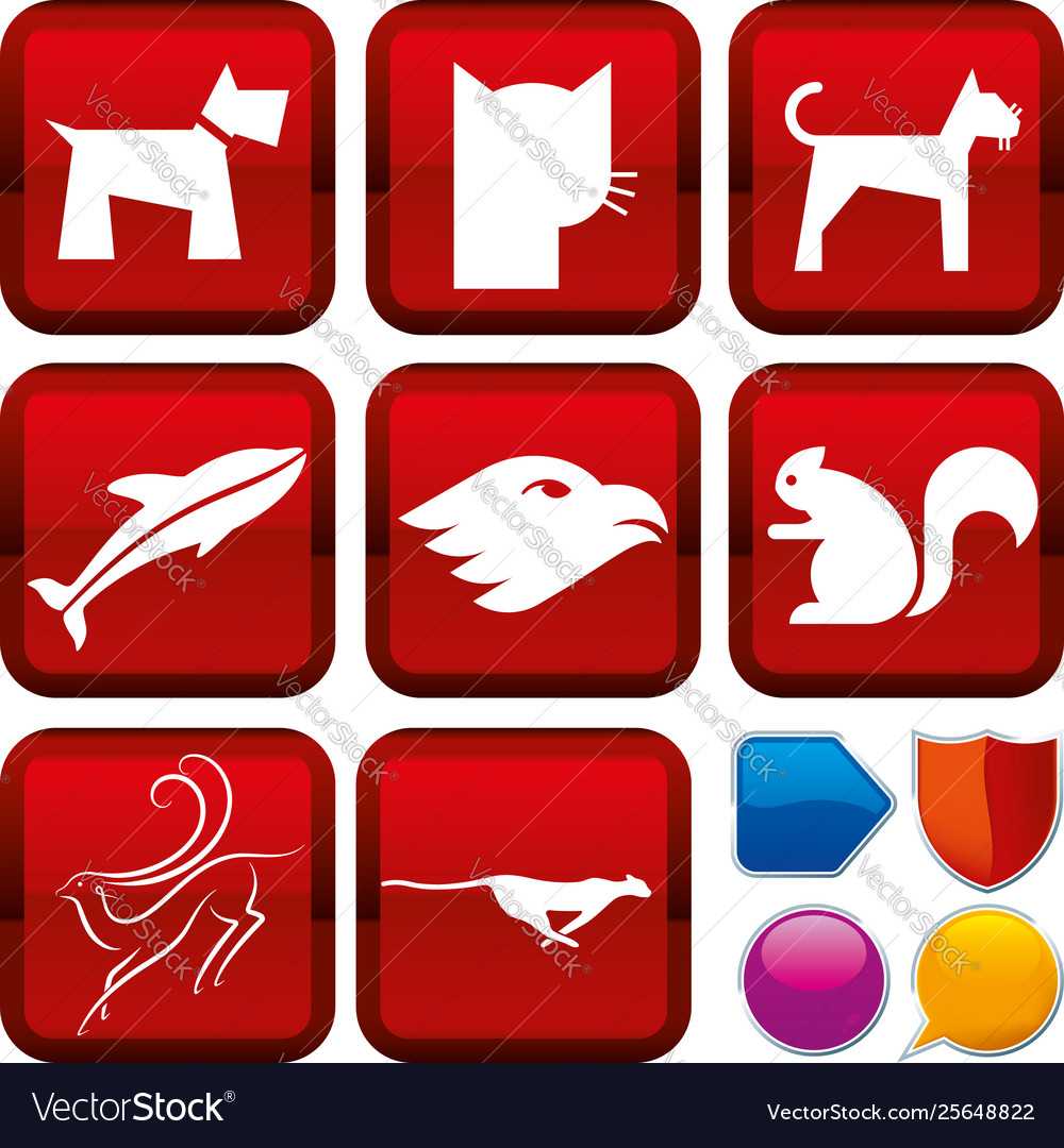 Set animal icons on square buttons geometric Vector Image