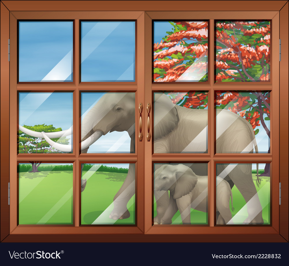 A closed window with view of the two elephants