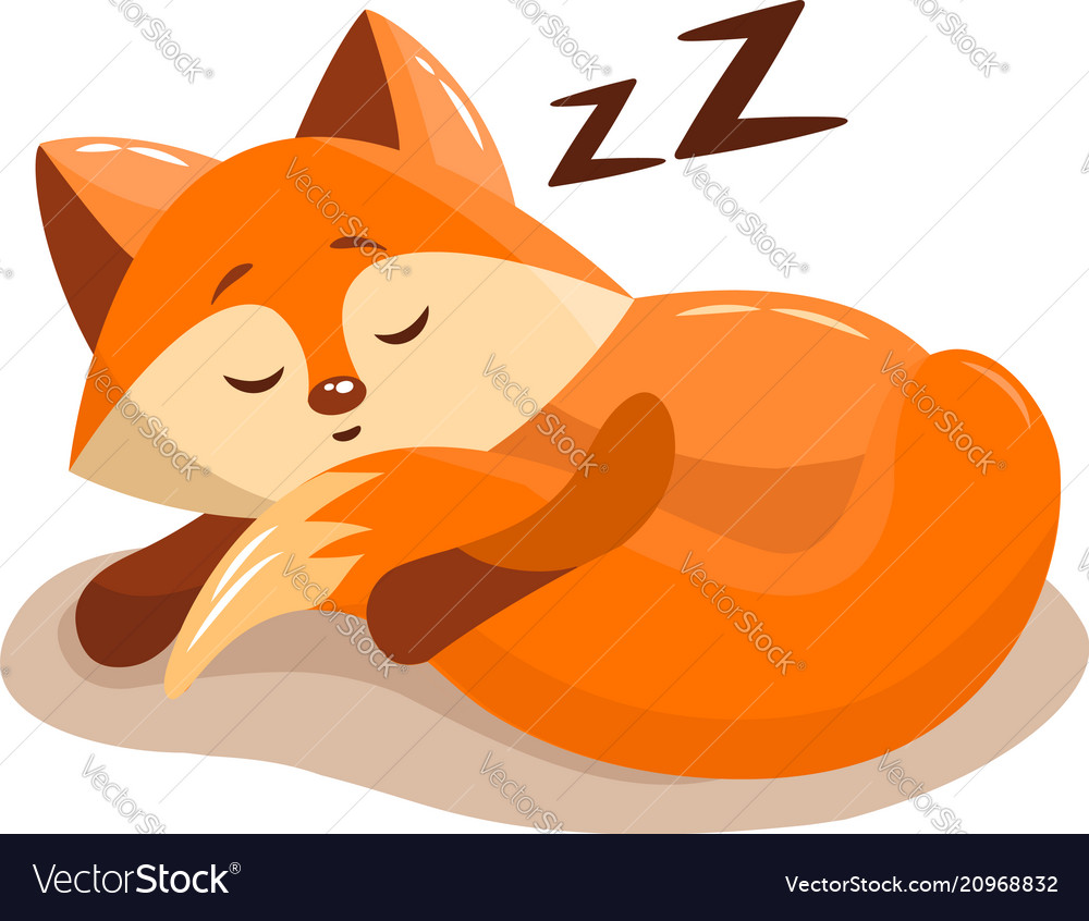 Cute fox sleeping Royalty Free Vector Image - VectorStock