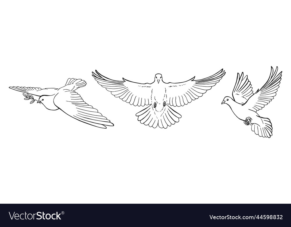 Set of dove outline line art style isolated hand Vector Image