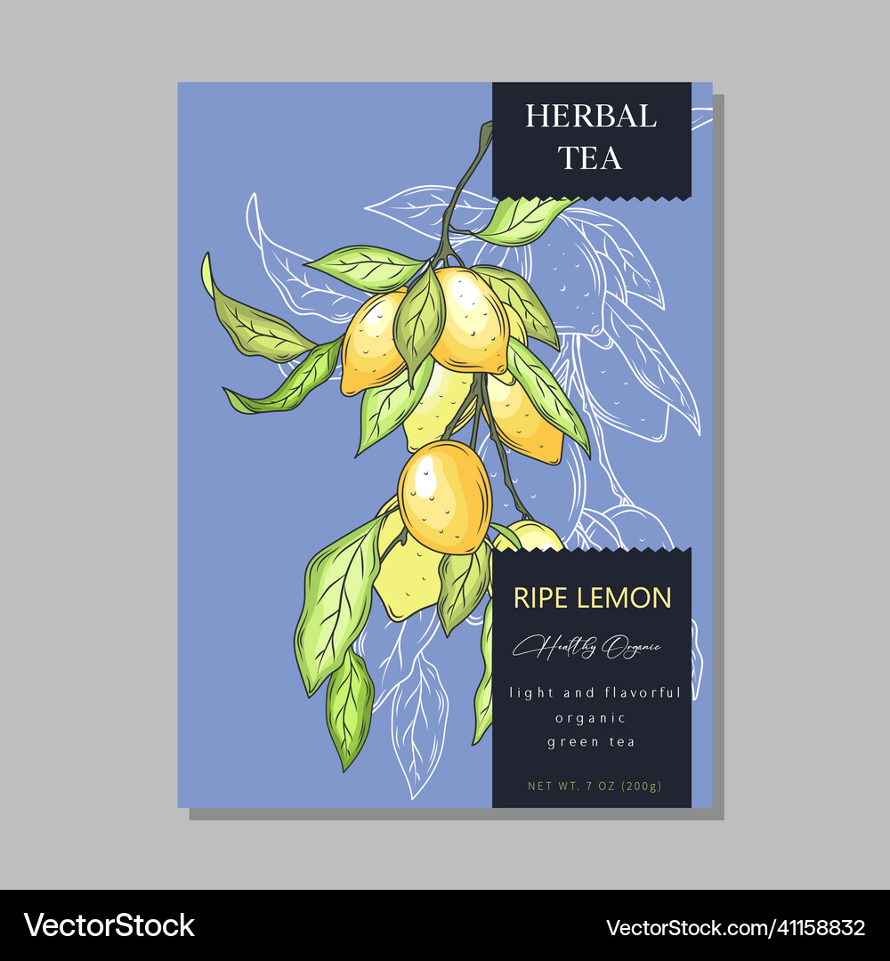 Vector Tea Labels Tea labels set abstract packaging design Vector Image
