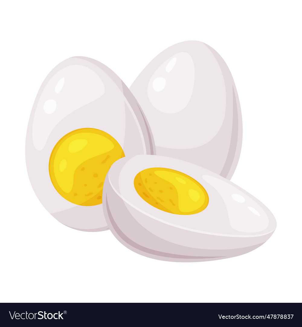 Boiled egg half with white and yellow yolk Vector Image