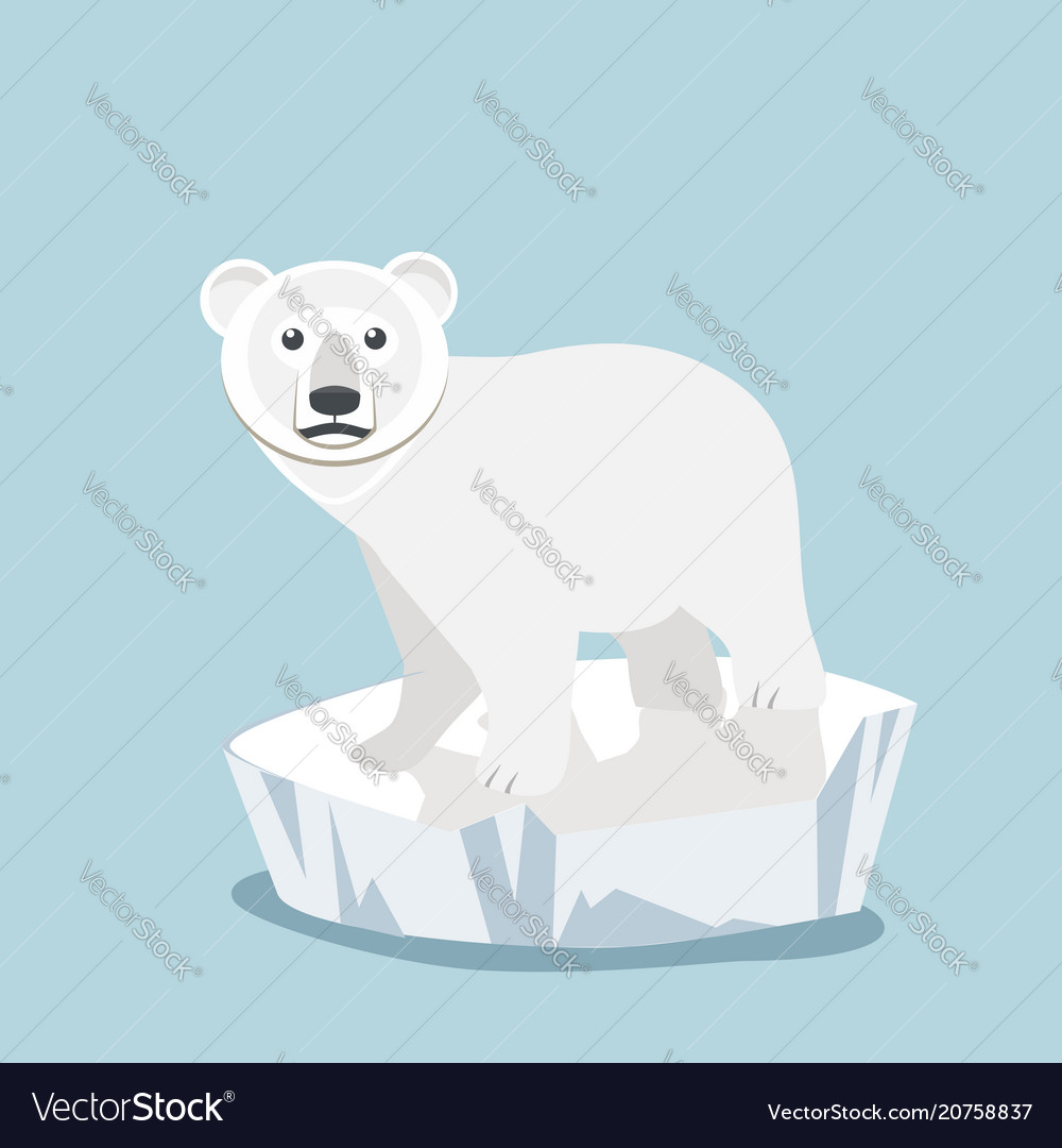 Cute baby polar bear on ice floe