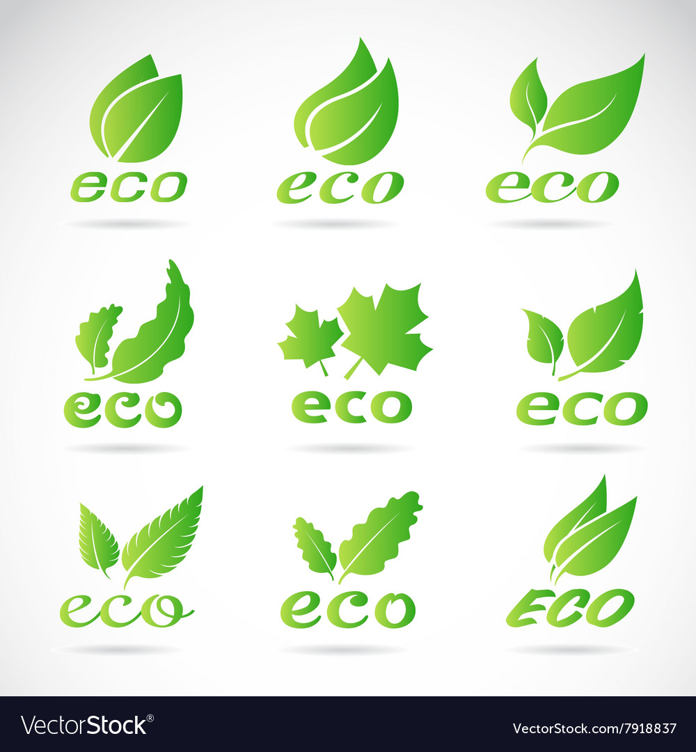 Green leaves design Royalty Free Vector Image - VectorStock