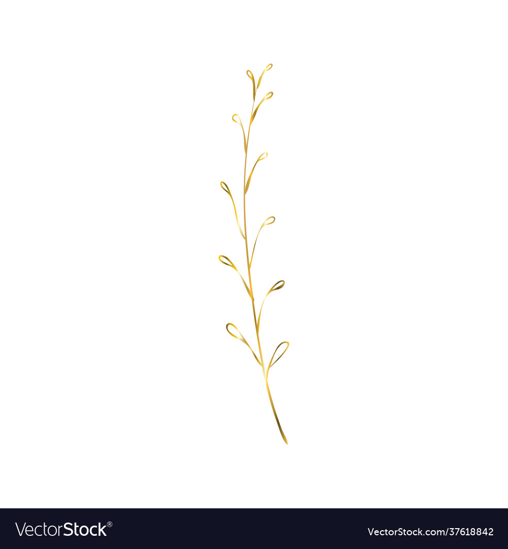 Golden sprig image with a twig vector image Golden sprig image with a twig