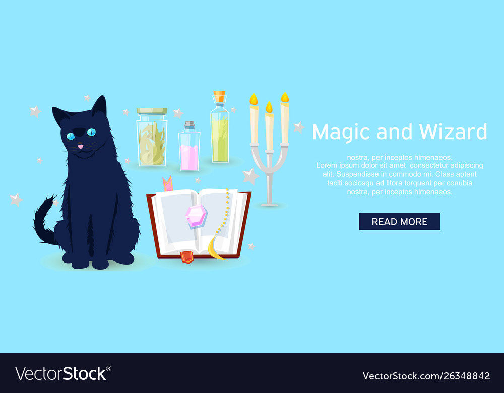 Magic and wizard collection items to cast Vector Image Magic and wizard collection items to cast