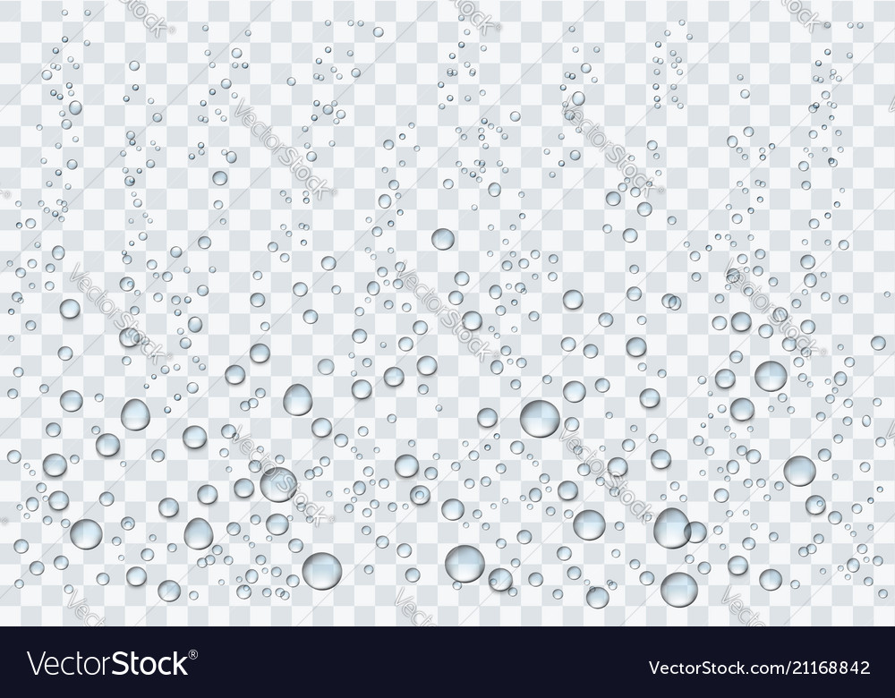 Realistic Water Droplets On The Transparent Vector Image