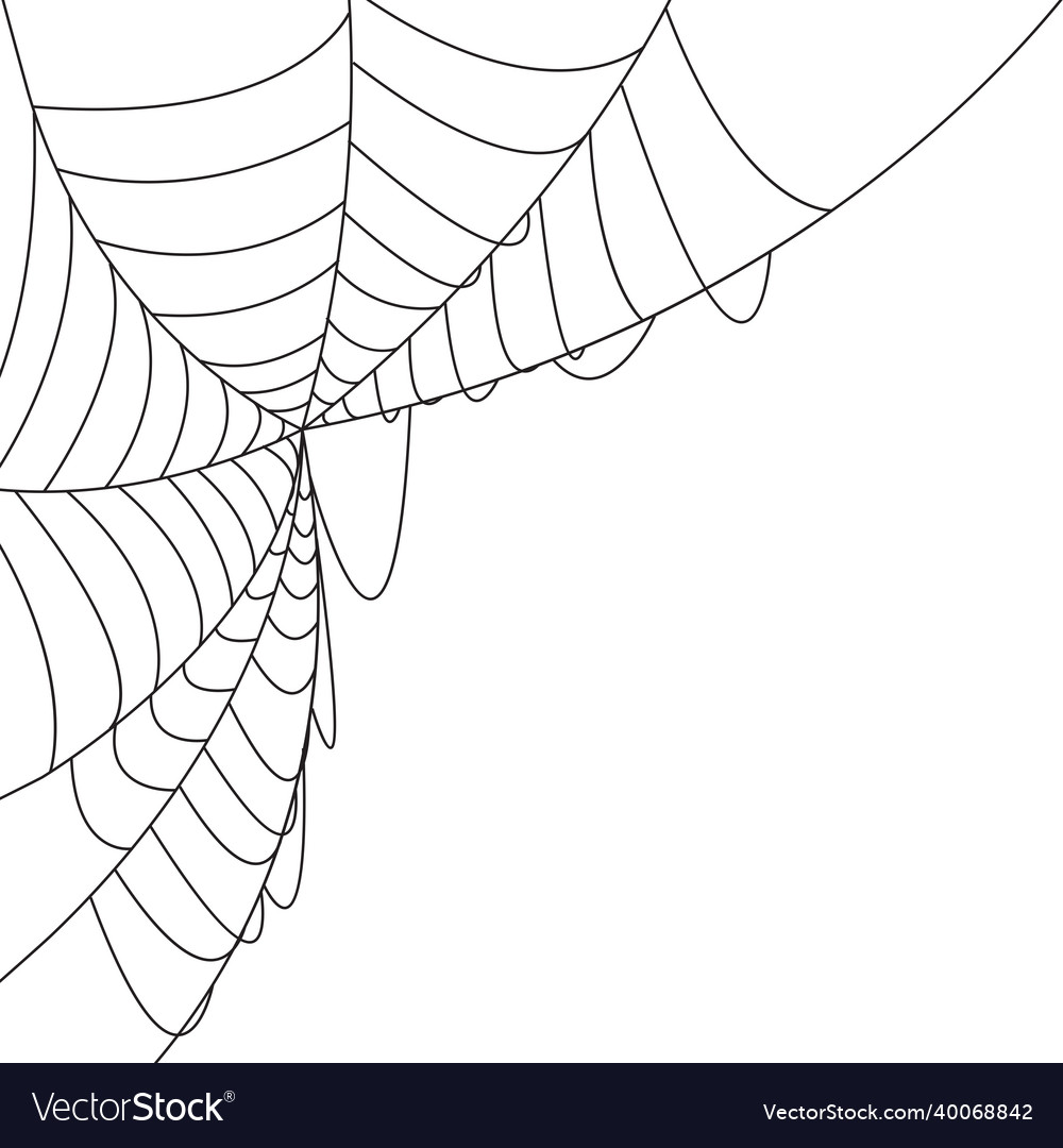 Web with spider isolated background