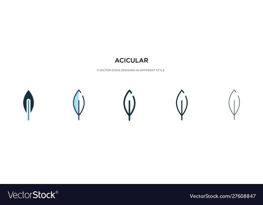 Acicular icon in different style two colored