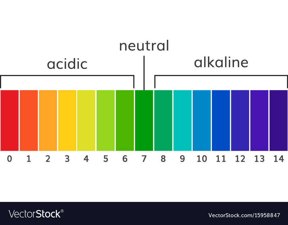 Chart ph alkaline and acidic scale Royalty Free Vector Image