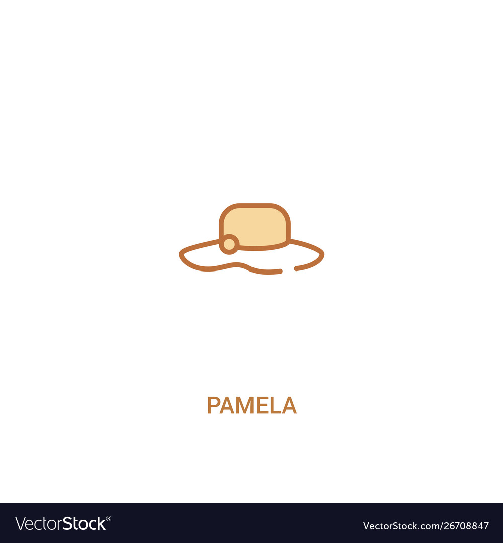 Pamela concept 2 colored icon simple line element