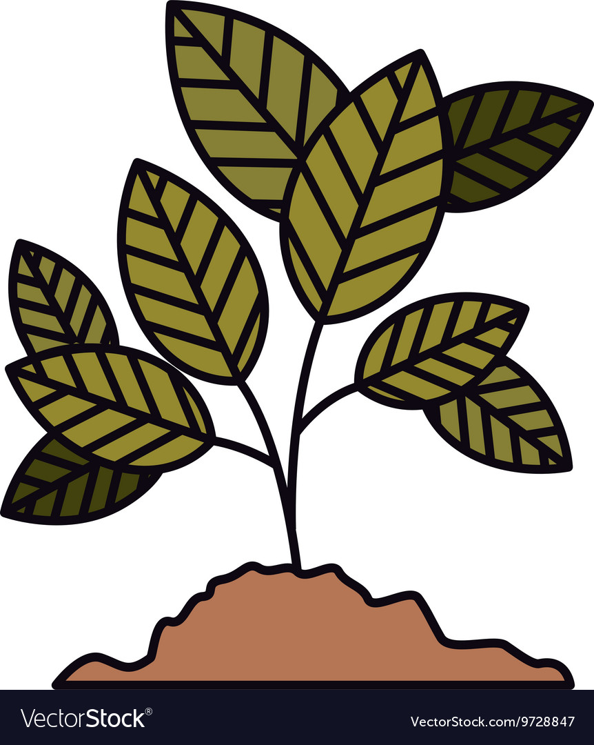 Tree branch with leaves isolated icon design