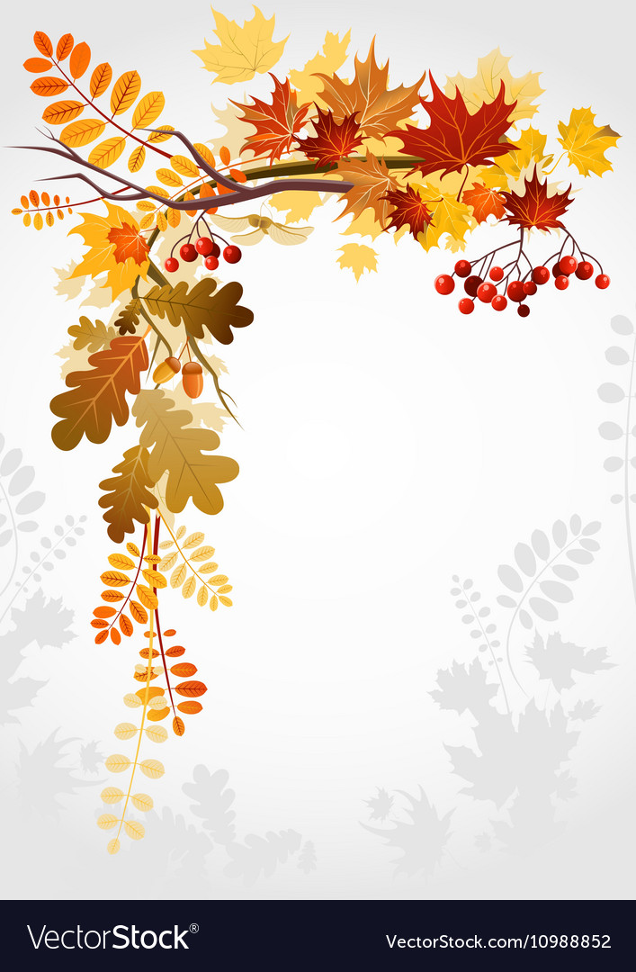 Autumn Leaf Frame