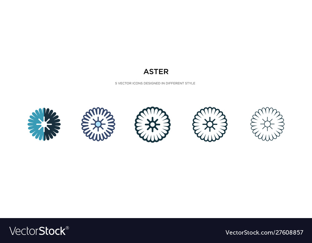 Aster icon in different style two colored