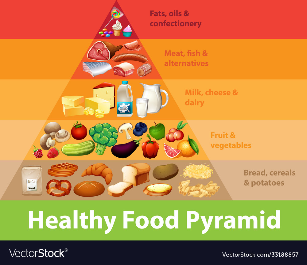 Food Pyramid 2024 Printable Helge Fernande