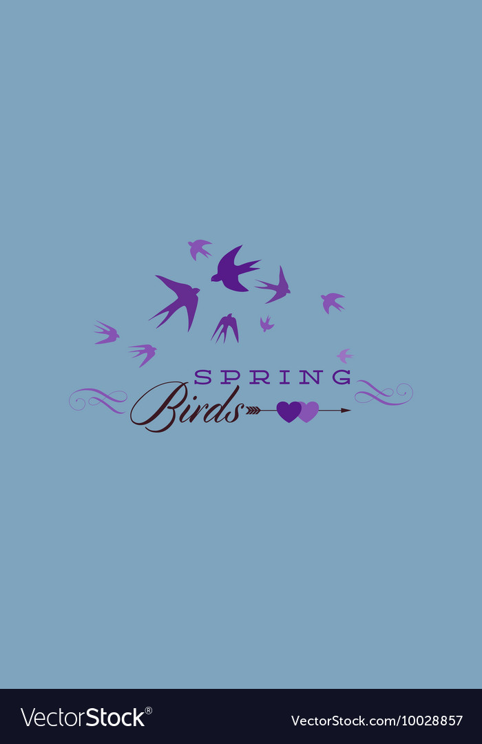 With spring birds