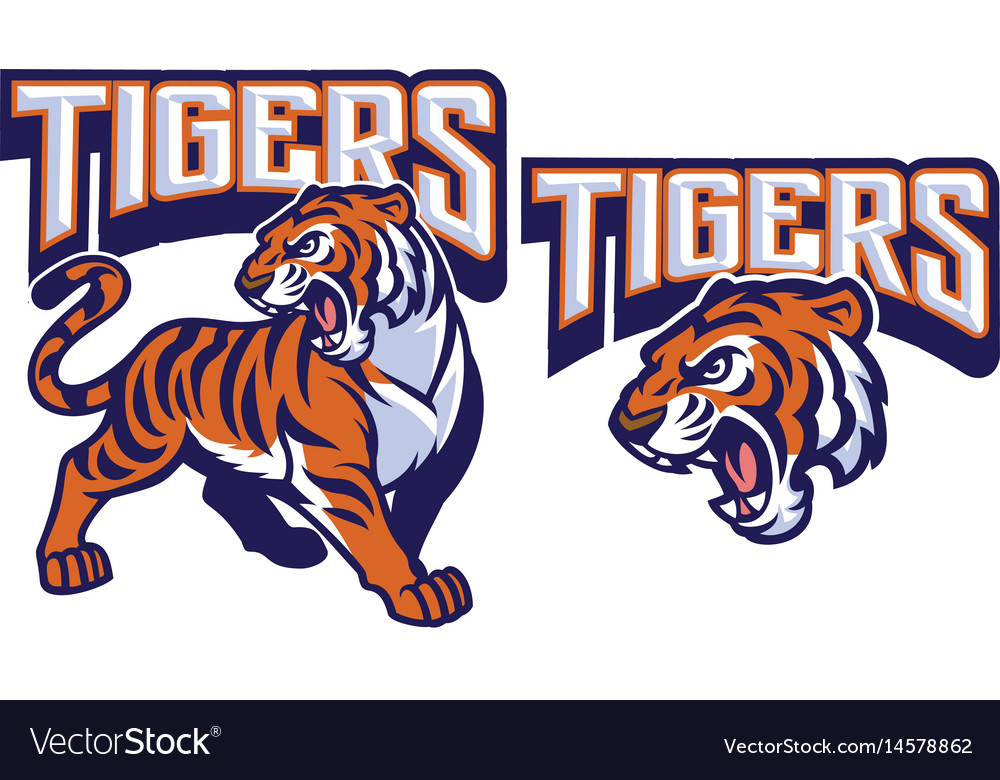 Angry tiger mascot Royalty Free Vector Image - VectorStock