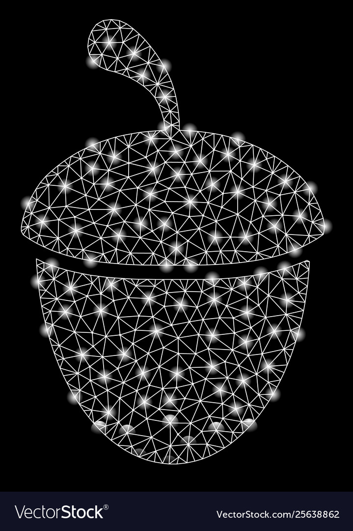 Bright mesh 2d acorn with flash spots vector image Bright mesh 2d acorn with flash spots