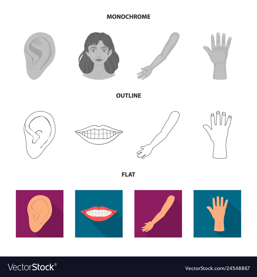 Design of body and part symbol set