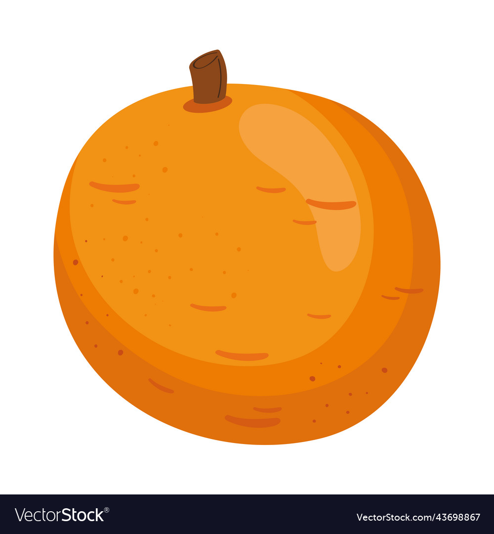 Fresh Orange Fruit Healthy Royalty Free Vector Image