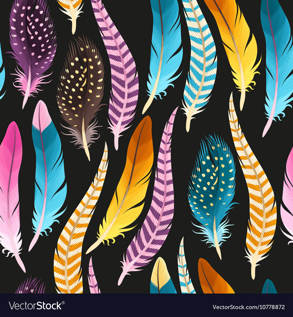 Decorative feathers seamless Royalty Free Vector Image