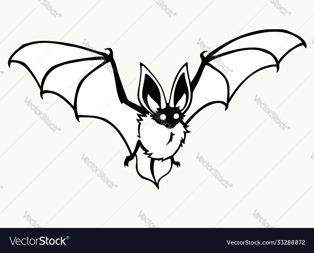 Flying bat stylized contour drawing on a white Vector Image