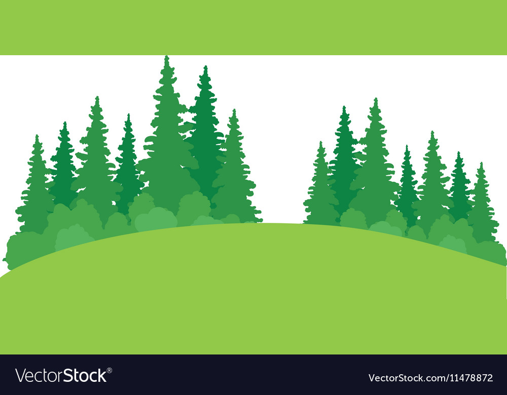 Isolated Pine Tree