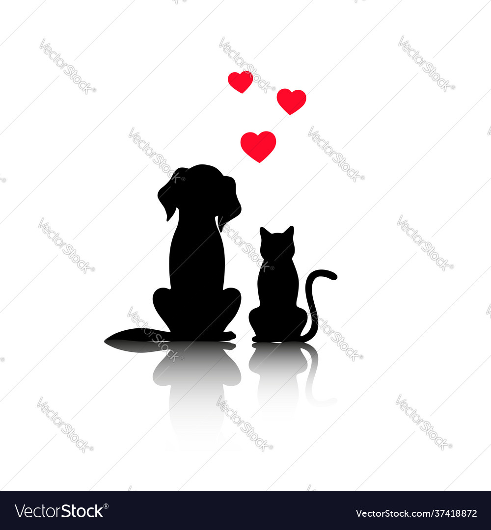 Love dog and cat