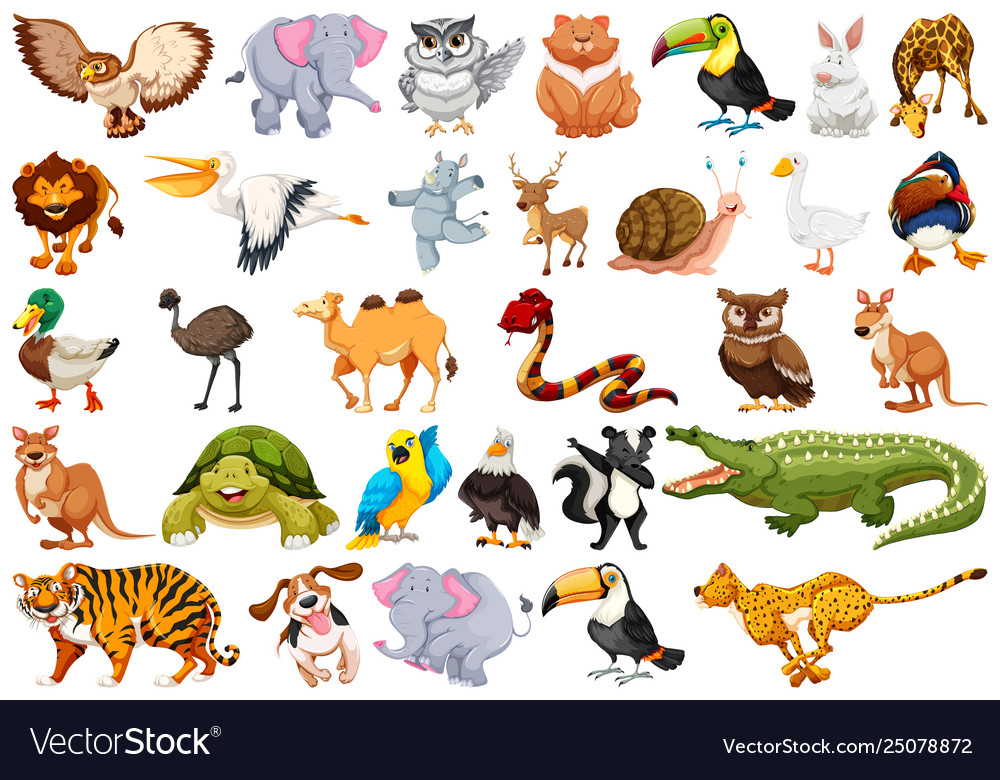 Set animal character Royalty Free Vector Image