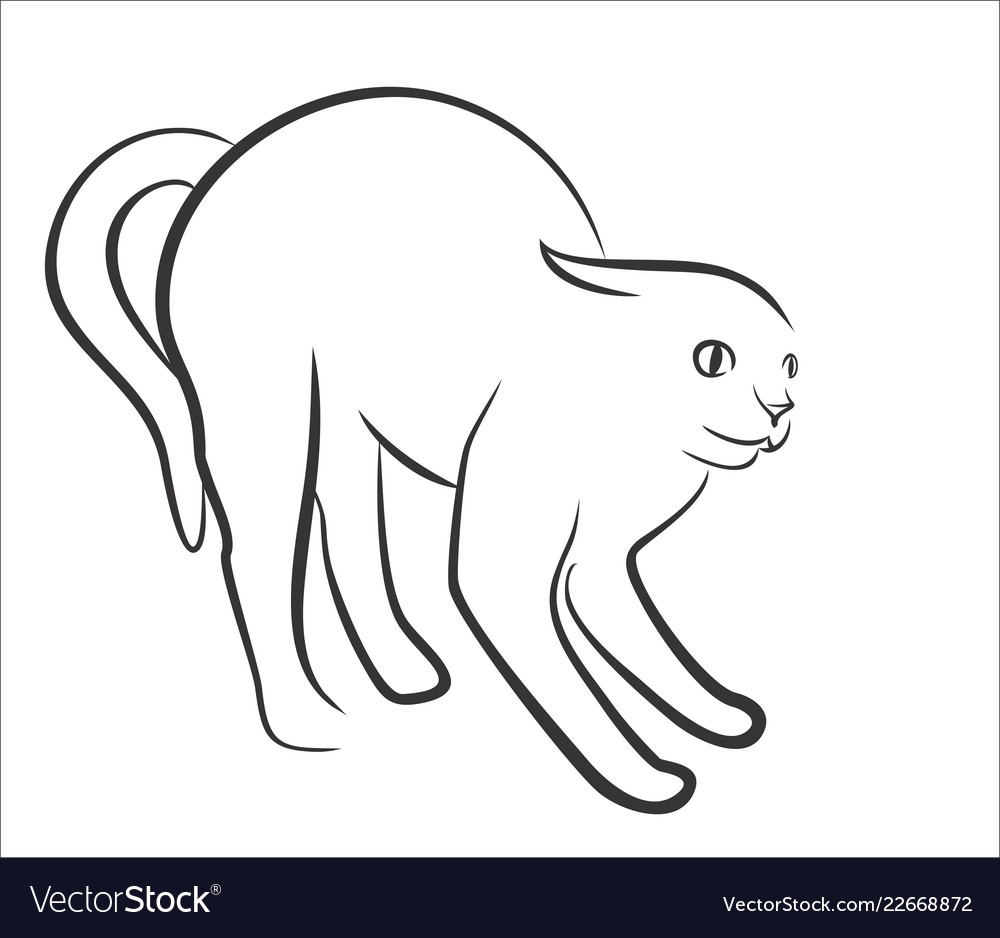 Sketch of angry cat. Stock Vector by ©Designer_an 102439102