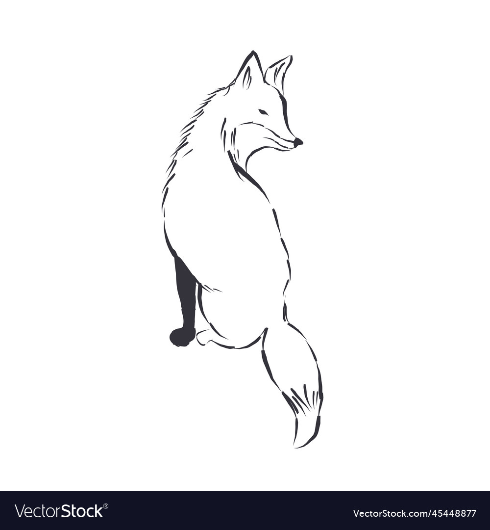 Fox line art isolated on white background Vector Image