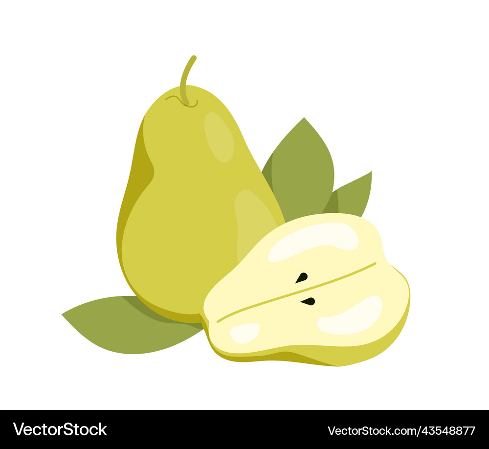 Pear with slice Royalty Free Vector Image - VectorStock