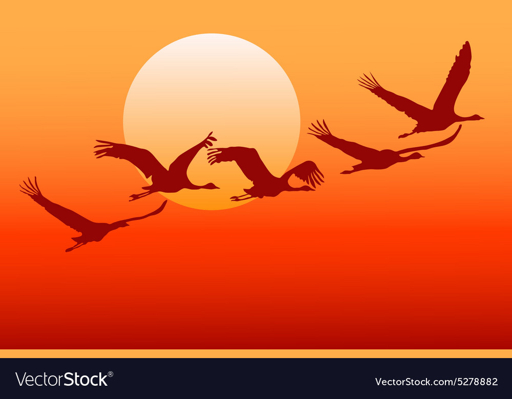 Flying crane Royalty Free Vector Image - VectorStock