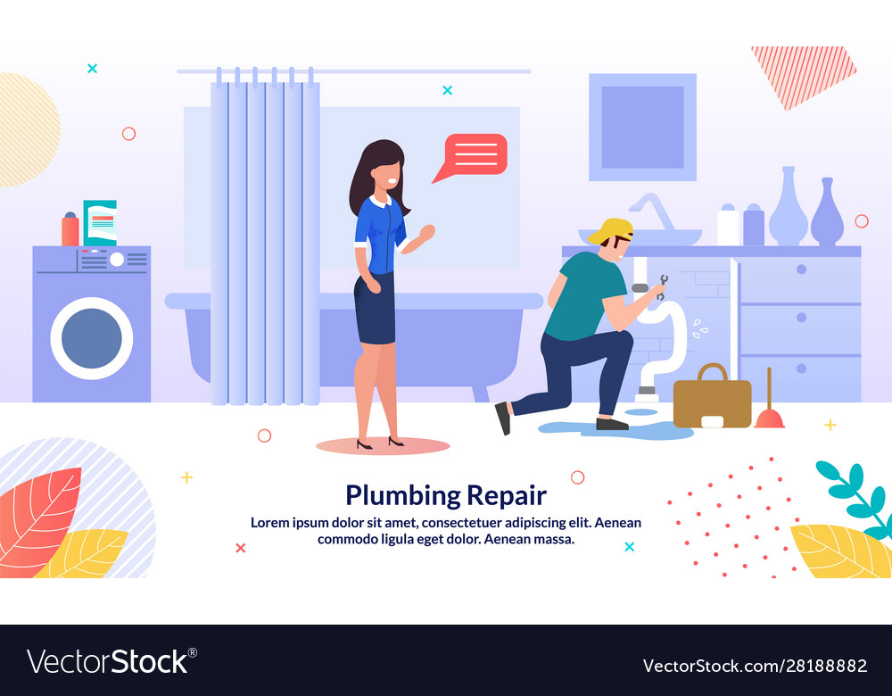 Professional plumber service flat banner vector image Professional plumber service flat banner